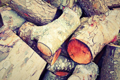 Badnagie wood burning boiler costs
